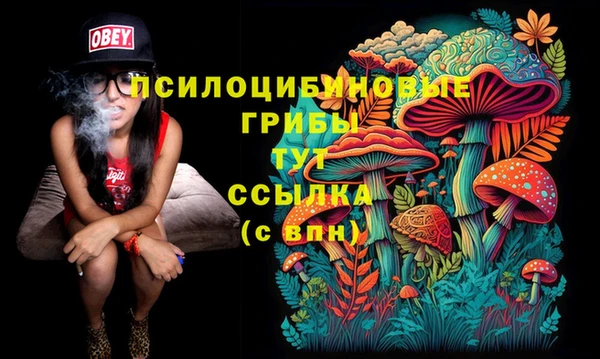 синтетический гашиш Зеленодольск